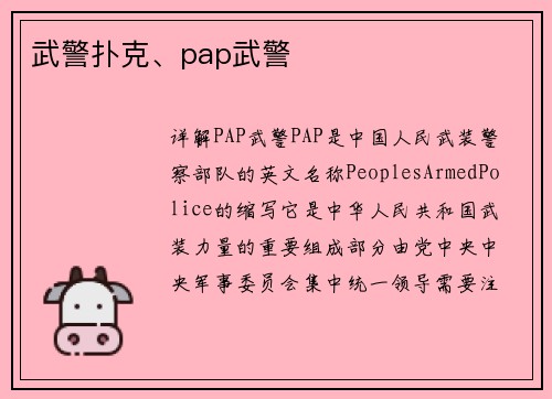 武警扑克、pap武警